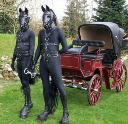 drewcifercdxx:I don’t understand how horses work Friendship is magic.