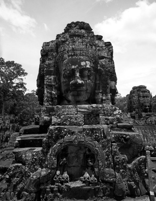 photophagous:  not just another pretty face -OR- the stone temple pilot lounge Bayon Wat, Cambodia -