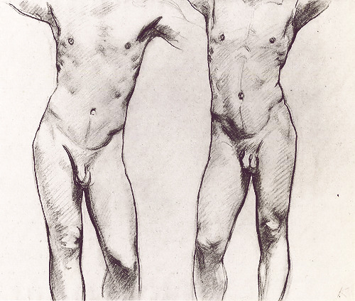 monsieurlabette:  Torsos of Two Male Nudes John Singer Sargent 
