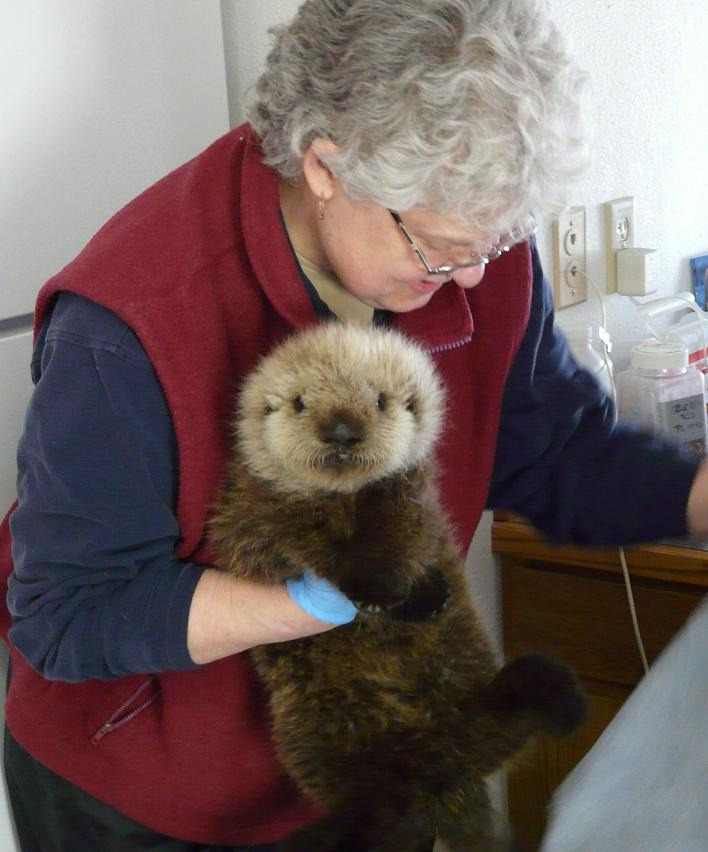 Oh, just an otter at the vet.
Photo via Imgur