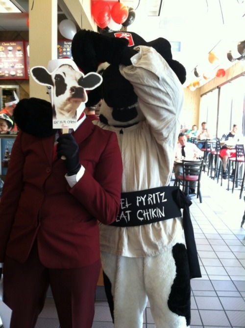 rp-little-lotte: rp-little-lotte:  RED Spy infiltrated Chik-Fil-A’s Dress Like a Cow day.  /SO