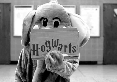 stay weird.