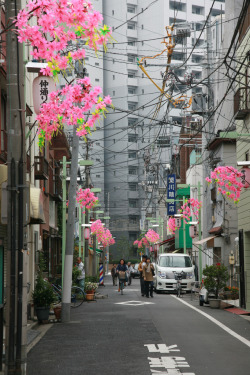 brassier:  bonsa-i:  sugartulips:  evanescen-t:  modernify:  sickblossom:  those flowers look so happy  because you can always find happiness in a sad place.  gorgeous  one of the most beautiful things i’ve ever reblogged  I love streets like these