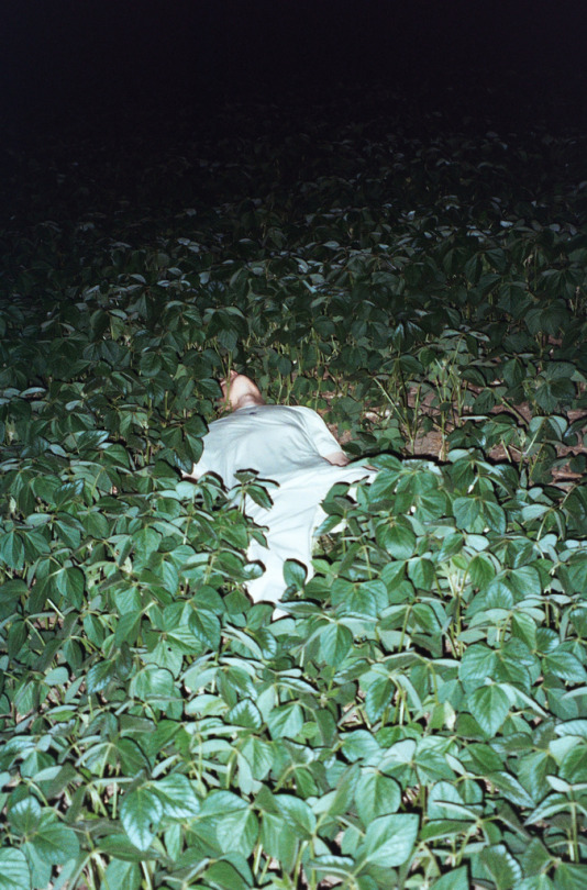 mysweetanhedonia - morgan