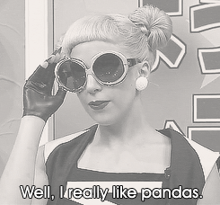 0hmygaga:  lady gaga + animals 