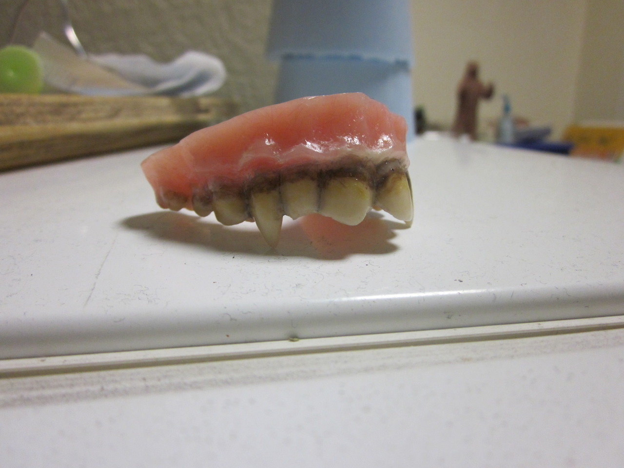 jacknapi3r:  Dentures I sculpted and stained 