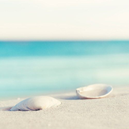 Guaranteed to be the most beautiful blog on your dash.