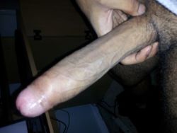 hungdudes:  Miami Uncut Sausage