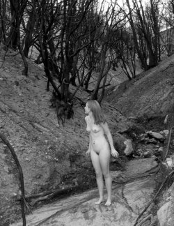 nudepageant:  My Burnt Forest by =UniqueNudes 