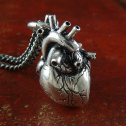 Wickedclothes:  Anatomical Heart Necklace This Heart Has Perfect Anatomical Detail