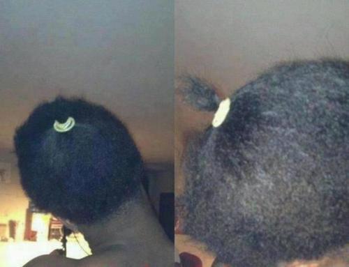 yourcharizard:  strugglingtobeheard:  notesonascandal:  queennubian:  rellyjuicejones:  savingprivateprose:  niggaimdeadass:  y  love is like a ponytail… when its real you dont have to force it.    O.o I cannot stand not nary one of y’all   This