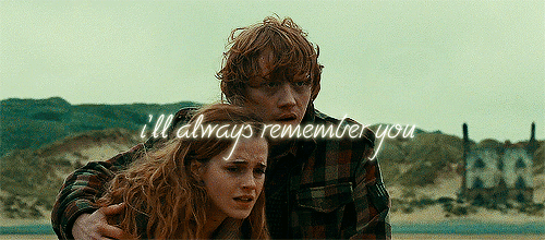 rosereturns:  Another chapter in the book cant go back but you can lookAnd there