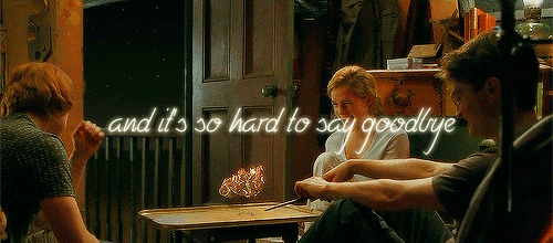 rosereturns:  Another chapter in the book cant go back but you can lookAnd there
