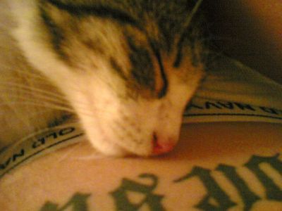 tom-hardys:  Tom Hardy’s Kat Rescue   September 11, 2005 I have a Kat in my hotel room, I wish I could send you the photos I took on my cellphone, I spent 4 hrs manually zapping fleas on the bugger and fed him threw him in the bath and we’re like