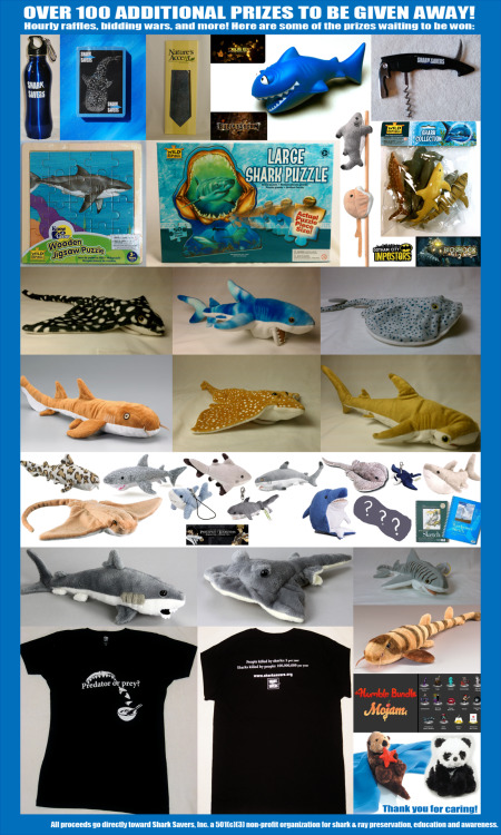 sharkstream:  Shark Stream 2012: Sea WizardsWhen: July 27-30th. 7PM Eastern/4PM Pacific.Where: http://sharks.thatquestsite.org/IRC: irc.rizon.net #sharksaversWho: A crowd of artists & Speedrunners including: Peaches_, Trihex, CosmoWright, Kirkq,