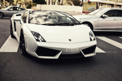 nistphotography:  Perfezione. on Flickr. Via Flickr: Lamborghini Gallardo LP-560/4 Spyder in Monaco, April 2012Like me on Facebook 