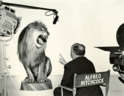 ckck:  Alfred Hitchcock directing the MGM