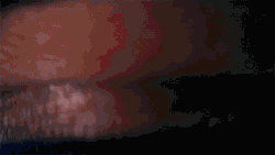 https://69.media.tumblr.com/tumblr_m79d0hasly1qifn0xo1_500.gif