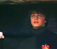  YOU HAD TO DO ONE FUCKING THING HARRY.    it made way more sense in the book because he started coughing on the soot but for some reason in the movie they removed that reason and just made Harry a total putz