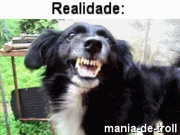 Assanhada e Atrevida