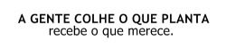 Desfocando a galeria