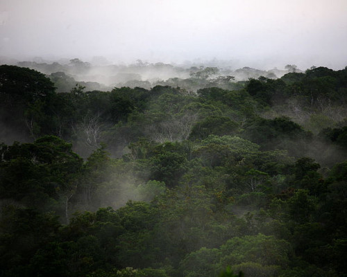 colombianas: Amazonas cerro Urania Vaupes Colombia by donfer! on Flickr.