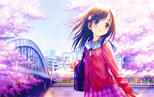   Original // Edit by*   