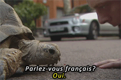  A FRENCH TORTOISE TALKING TO SIMON PEGG THREE OF MY FAVORITE THINGS 