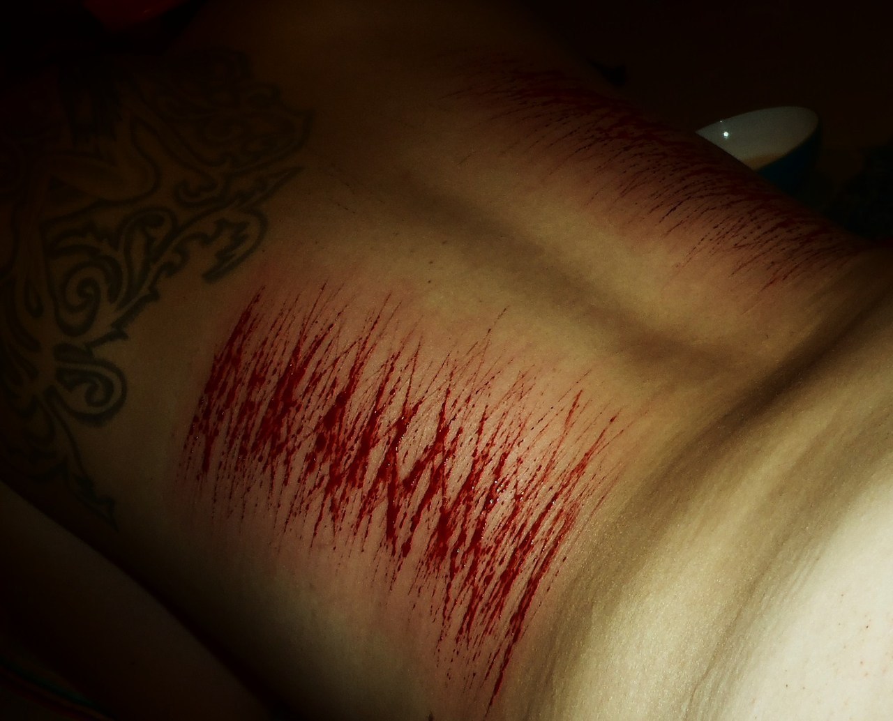 sexcapadesofakinkylesbian:  The amazing blood play we did on the last night of our