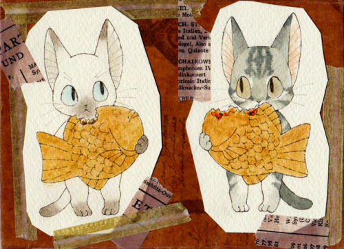 medacris:batongmalaque:tora-toravi:cute cats by taraI’m taking notes of these cute cat cuties yesOh 