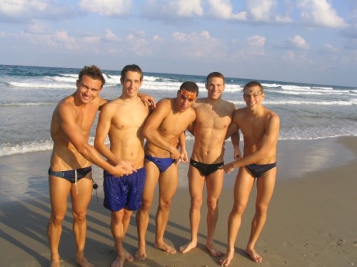 Next to all those Speedos, board shorts look adult photos