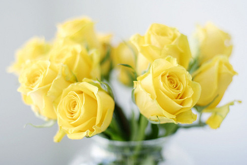 Click here for the most beautiful blog you’ve ever followed :)