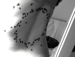 fuckyeahtattoos:  When I see a bird flock,