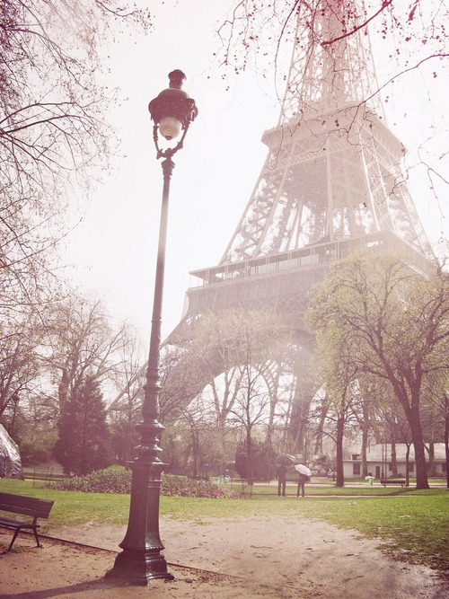 𝑗 𝑎 𝑣 𝑖 𝑒 𝑟 𝑎 ♡ . *. ⋆