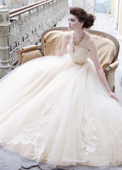 calanthesfeuillemort:  Fall 2012 Collection | Gowns by Lazaro Bridal 