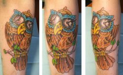 fuckyeahtattoos:  This is an owl piece I had done by Glen Tanner in Dartmouth, Nova Scotia. It is still a work in progress, since it is just one element in a &frac34; sleeve.