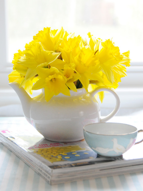 Click here for the most beautiful blog you have ever followed :) 