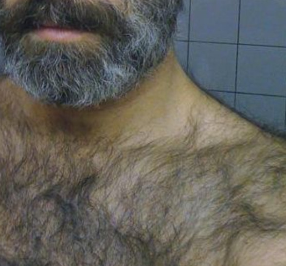 barbagrigia:  A very handsome man - beautiful grey beard, hairy back and chest -