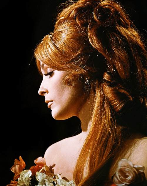 vintagesonia:Sharon Tate in a promotional photo for The Fearless Vampire Killers (1967)