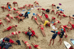 thomasprior: huntington beach junior lifeguards