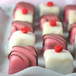 chronic-mastication:  Petit four appreciation