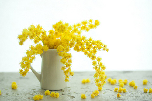 Click here for the most beautiful blog you have ever followed :) 