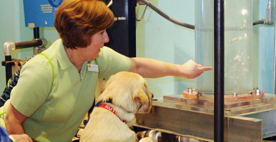 This dog is learning about science he looks like a great student.