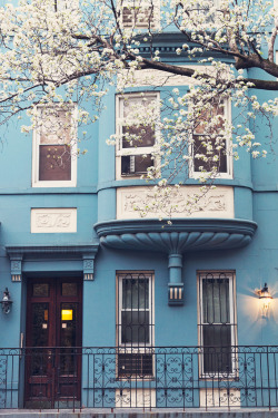 precaire:  The Blue House. (by Moeys Photography) 