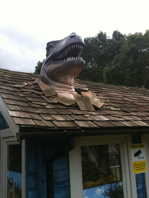 thelandofwtf:  “Haha, I don’t fit in here at all.” http://thelandofwtf.tumblr.com 
