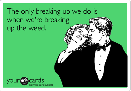 zennlivingg:  Hey, crabsish, let’s break up :b