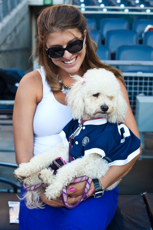 Fans brought their pups to Petco Park on Tuesday for Dog Days of Summer.