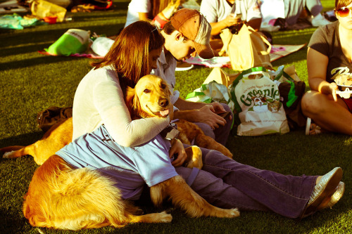 Fans brought their pups to Petco Park on Tuesday for Dog Days of Summer.