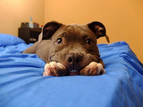 The Cutest Things On The Web!