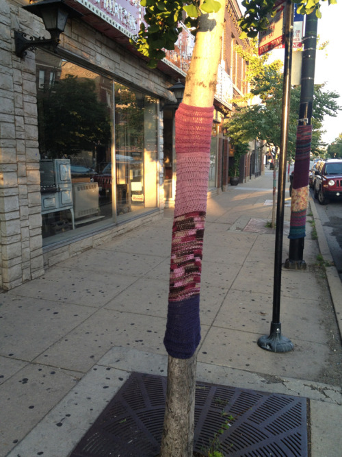 Tree trunk knitting in #LoganSquare #Chicago